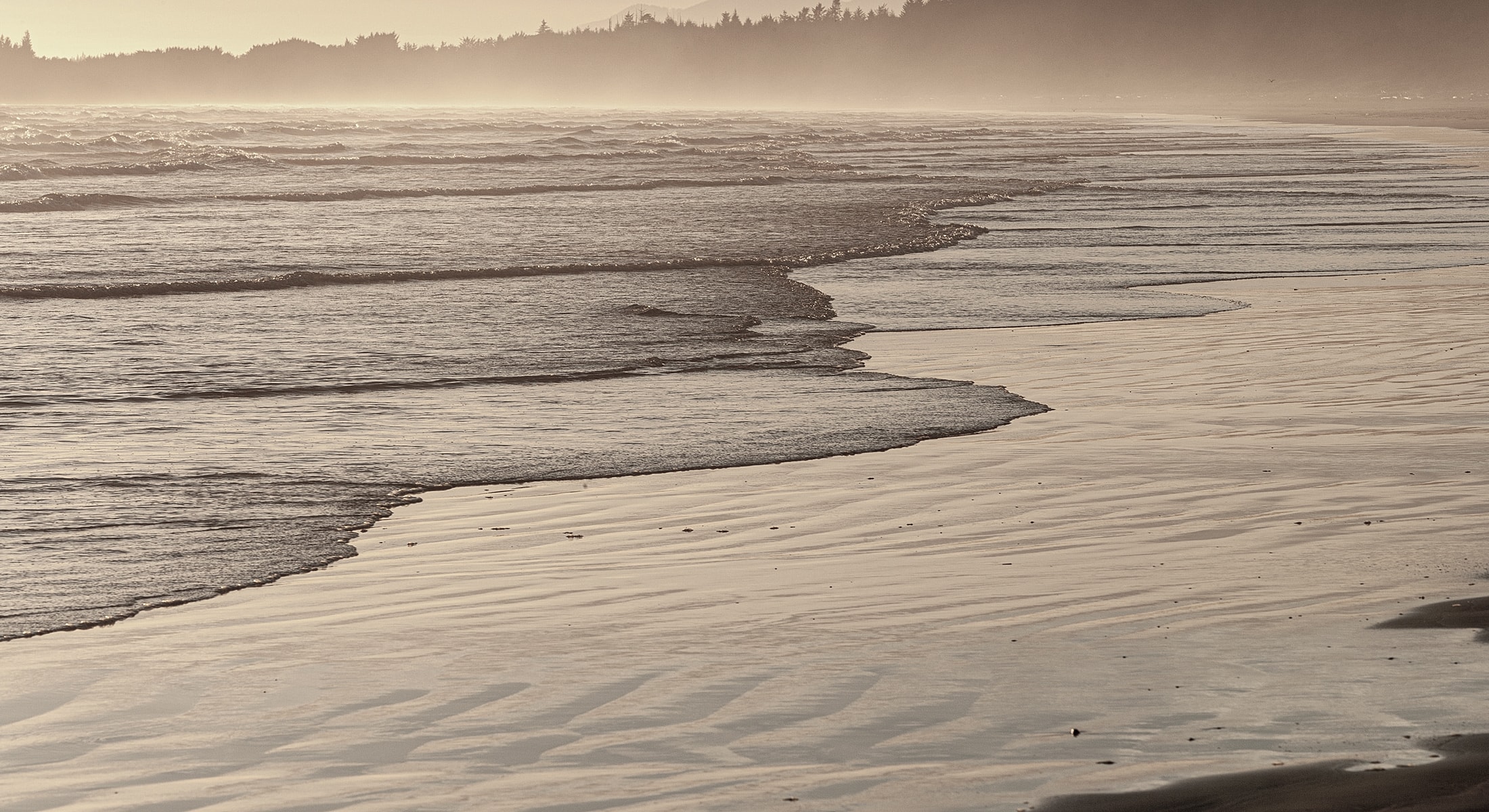Serene beach scene at sunset with gentle waves.